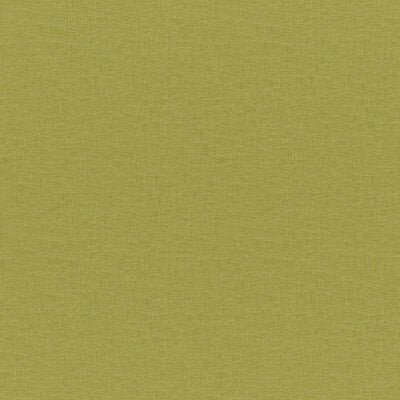 Kiwi Velvet fabric swatch