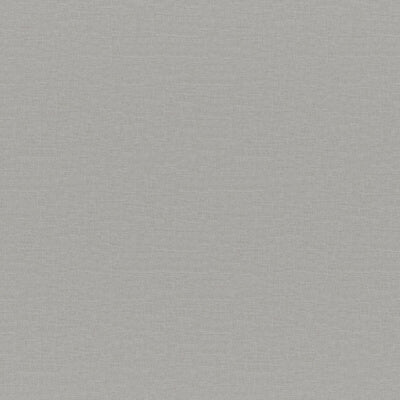 Silver Velvet fabric swatch