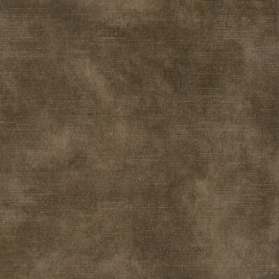 Lungo Velvet fabric swatch