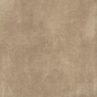 Latte Velvet fabric swatch