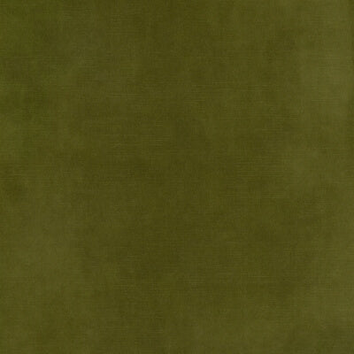 Fern Velvet fabric swatch