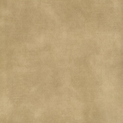 Sesame Velvet fabric swatch