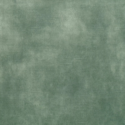 Beetle Velvet fabric swatch
