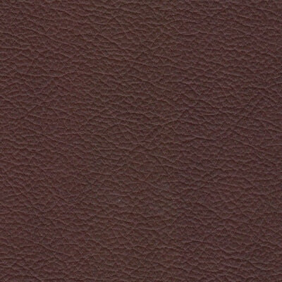 Bronco Leather fabric swatch