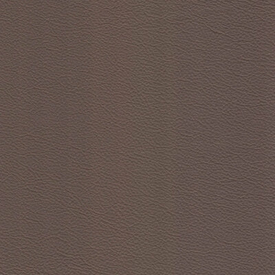 Earth Leather fabric swatch