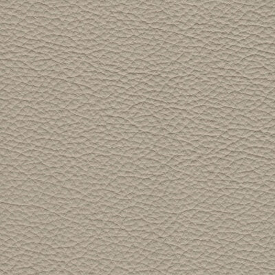 Naan Leather fabric swatch
