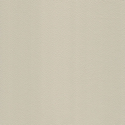 Panama Leather fabric swatch