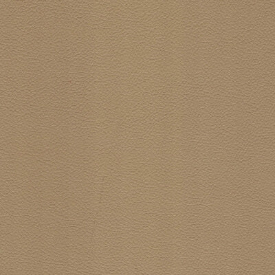 Pebble Leather fabric swatch
