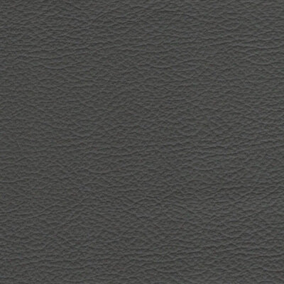 Rifle Leather fabric swatch