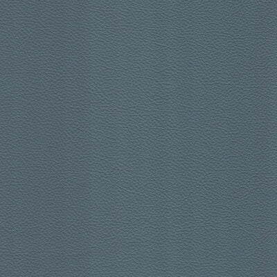 Wedgewood Leather fabric swatch
