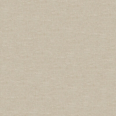 Sand Chenille fabric swatch